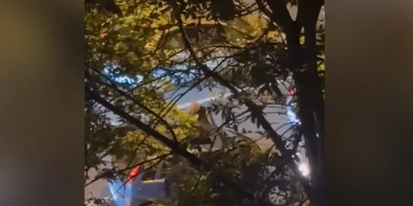 femeie agresata in trafic captura antena 3 png