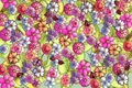 test jpg