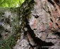 Pestera Găunoasa   Hunedoara  Foto Daniel Guță  ADEVĂRUL (125) JPG