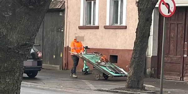 micul gunoier jpg