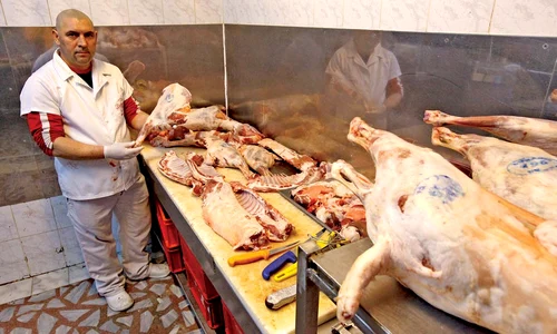 carne10 utile 1 jpeg