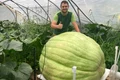 Björn Dietrich i a pus numele dovleacului Esmeralda jpg