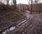 Satul Stăuini, Hunedoara, decembrie 2023 Foto Daniel Guță ADEVĂRUL (41) JPG