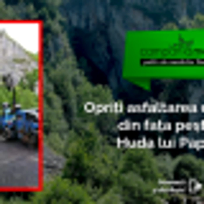 pestera petitie apuseni