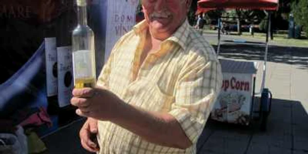 Sandu de la Pericei