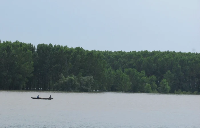 Bărbatul a trecut Dunărea ca să fure lemne Foto:Arhivă Adevărul