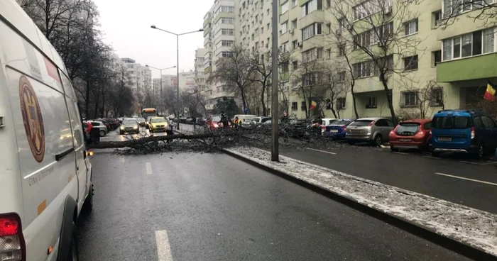 Copaci cazuti in Bucuresti FOTO ISU