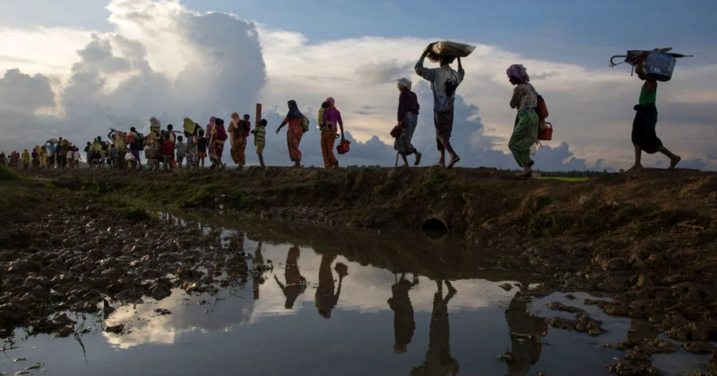 Mii de refugiaţi Rohingya care fug din Myanmar merg pe un câmp de orez după trecerea frontierei în Palang Khali Coxs Bazar Bangladesh FOTO Guliver / Getty Images / Paula Bronstein