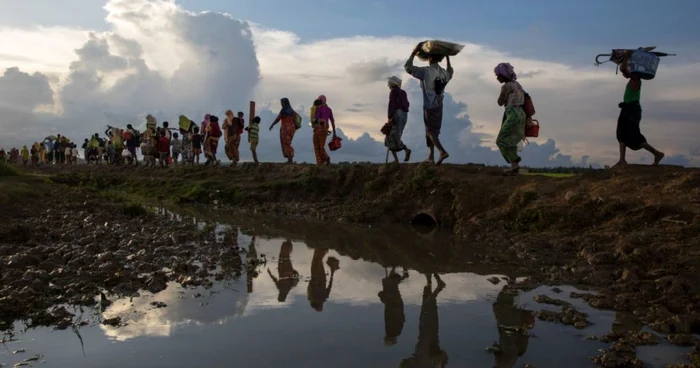 Mii de refugiaţi Rohingya care fug din Myanmar merg pe un câmp de orez după trecerea frontierei în Palang Khali Coxs Bazar Bangladesh FOTO Guliver / Getty Images / Paula Bronstein