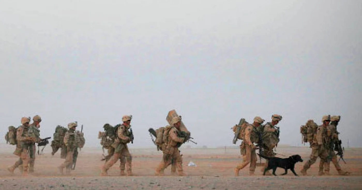Militarii învaţă împreună tehnicile de luptă