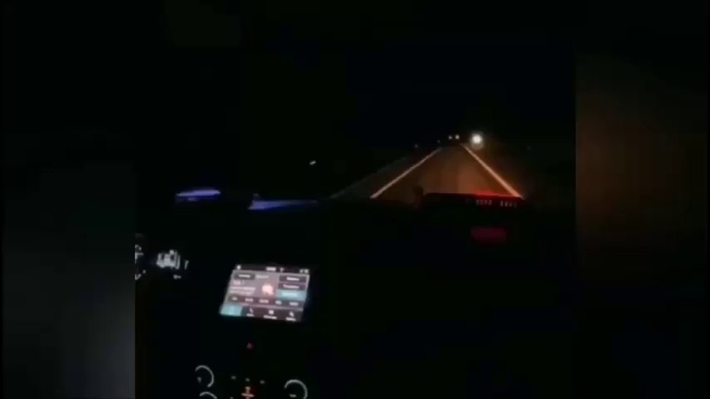 Campionat ilegal de lupte de câini din Republica Moldova, descoperit de polițiștii români VIDEO 
