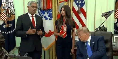 trump somn gif gif
