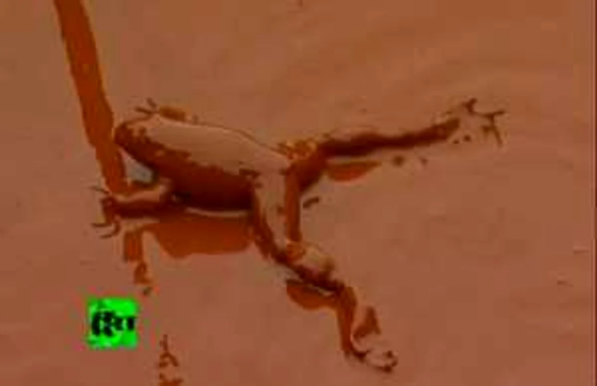 Ungaria: Imagini cu dezastrul chimic din reportajele televiziunilor de stiri