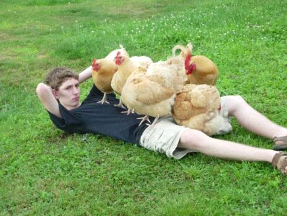 Oameni şi animale în cele mai bizare momente.