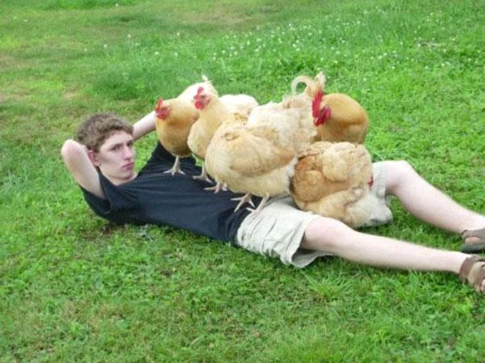 Oameni şi animale în cele mai bizare momente.