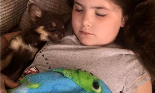 Lexie a fost foarte fericită că i a fost adus înapoi cățelușul jpeg