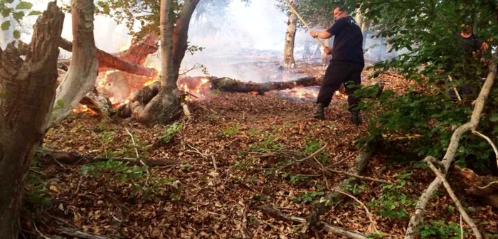 Mai multe hectare de pădure au ars, de la începutul acestui an, în Caraş-Severin FOTO ISUCS