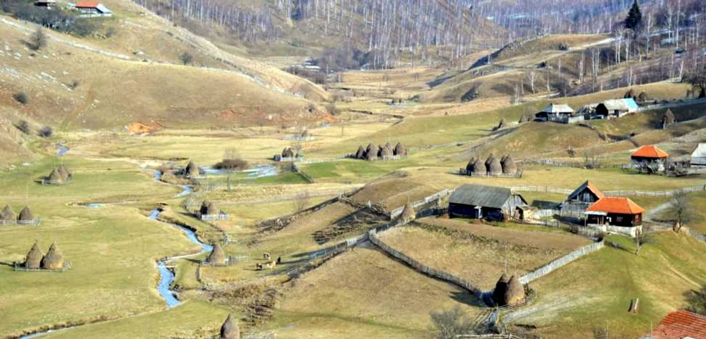 Fundătura Ponorului. FOTOGRAFII: Ioan Benea Jurca / Marius Turc.