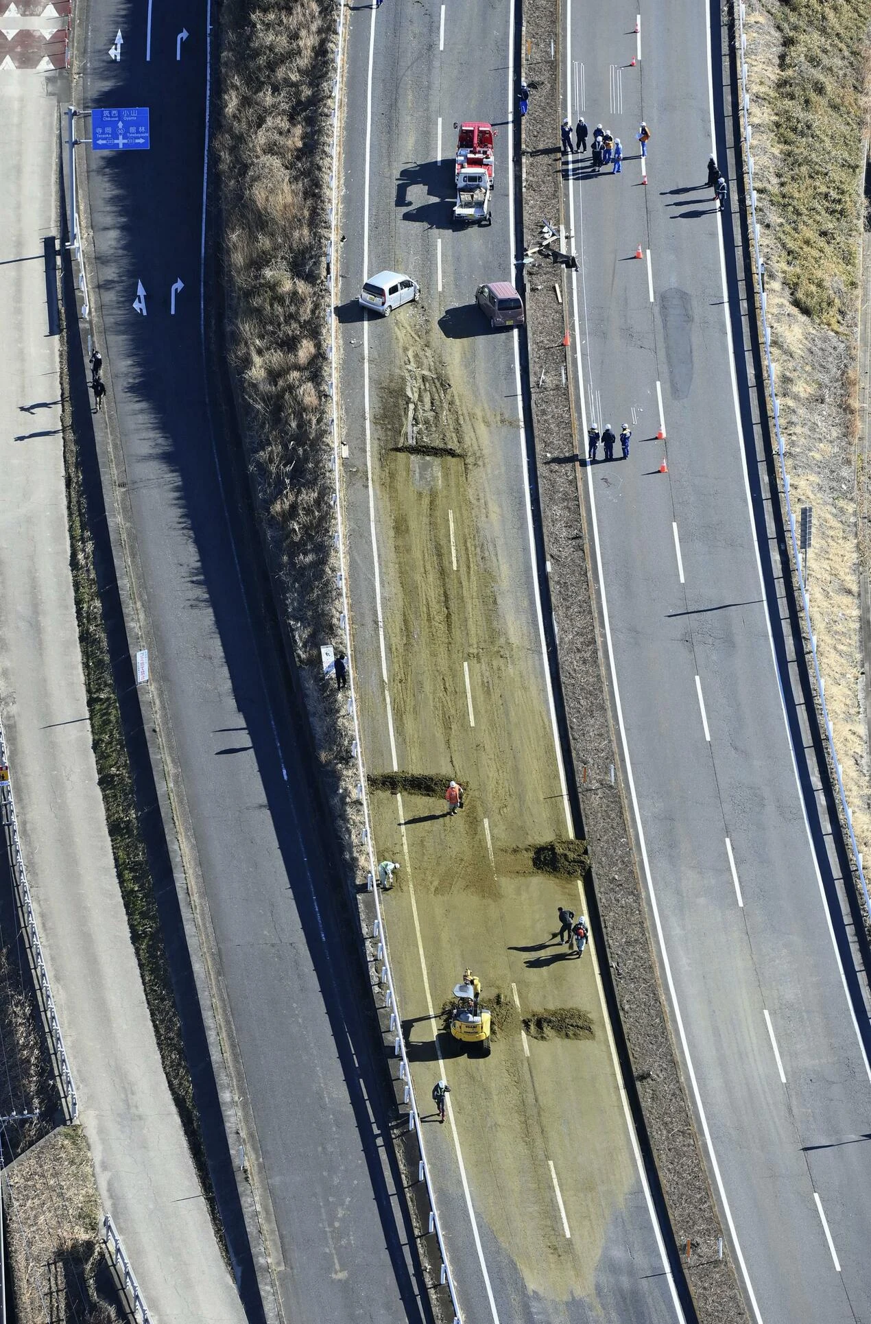 Un mort într-o coliziune în lanț în Japonia, provocată de frunze de ceai căzute dintr-un camion