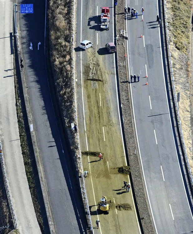 Un mort într-o coliziune în lanț în Japonia, provocată de frunze de ceai căzute dintr-un camion