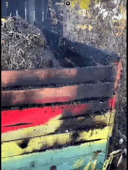 Imagini din curtea vedetei - Foto: social media