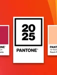 cover Culoarea anului 2025 e aici! Află de la Grup Transilvae cum să o integrezi în creațiile tale jpg