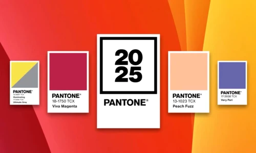 cover Culoarea anului 2025 e aici! Află de la Grup Transilvae cum să o integrezi în creațiile tale jpg