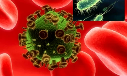 1 83664 original jpg jpeg