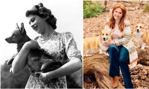 Câinii Corgi ai Reginei Elisabeta a II a   Instagram jpg