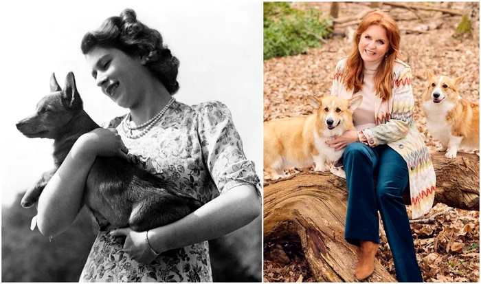 Câinii Corgi ai Reginei Elisabeta a II a   Instagram jpg