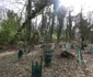 Parcul Dendrologic din Simeria Foto Daniel Guță ADEVĂRUL (45) JPG