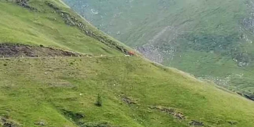 5f13e4555163ec427121aa8f jpg