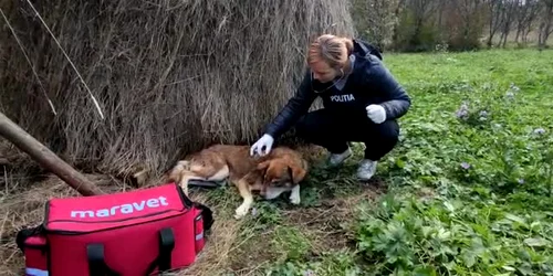 616d42755163ec4271829bef jpg