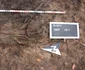 depozit de arme muzeul de arheologie prahova 2 jpg