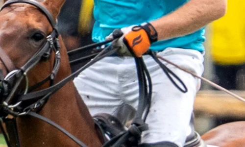 1 printul harry profimedia 0627961931 jpg jpeg