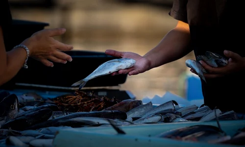 fish market 7519944 1280 jpg