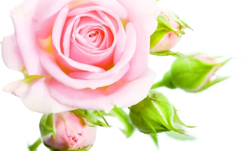 1 46379 original jpg jpeg