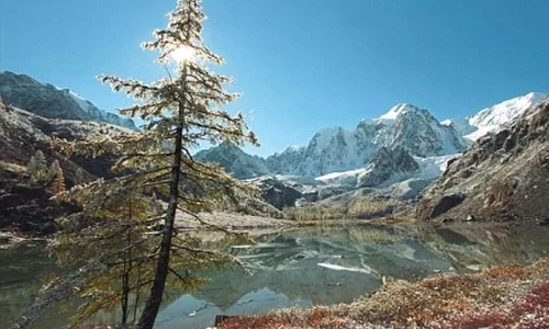 Nativii americani sunt originari din Siberia jpeg