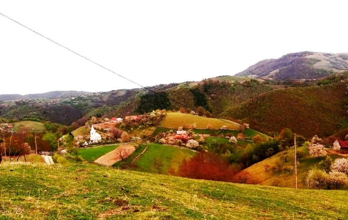 purcareti apuseni alba