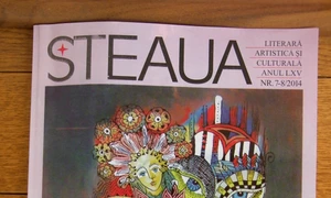 Ciorne, versiuni, notiţe jpeg