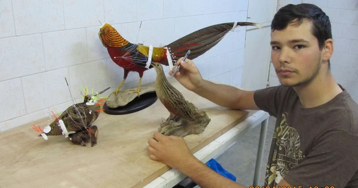 Paul Ploştinaru este taxidermist de la 10 ani FOTO: arhivă personală