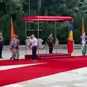 LESIN gif