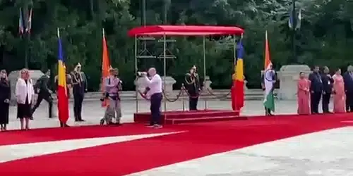 LESIN gif