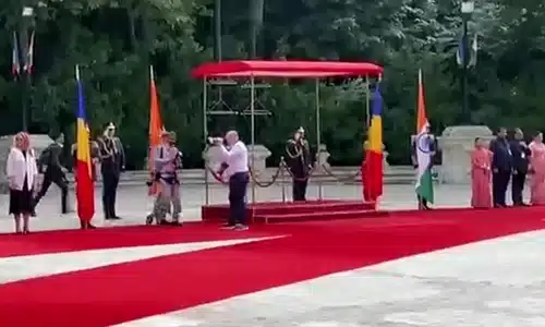 LESIN gif