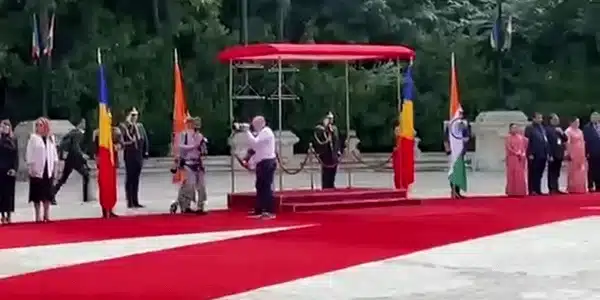 LESIN gif