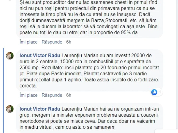 discutie tomate fb