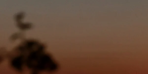 cometa cer