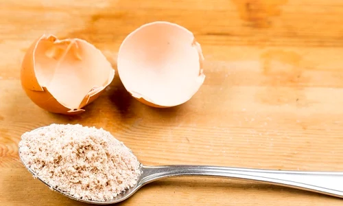 1 trei beneficii uimitoare ale cojilor de oua tew1 jpg jpeg