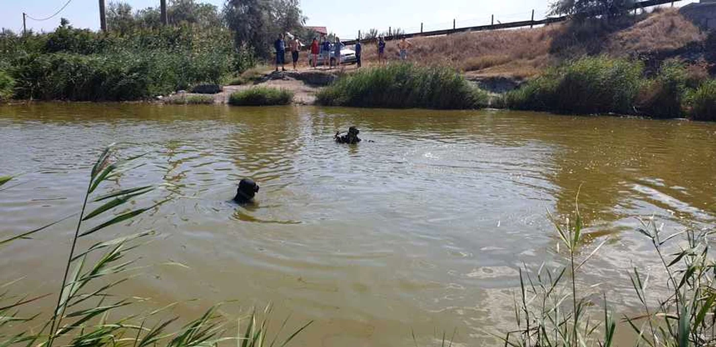 
     foto: ISU Dobrogea  