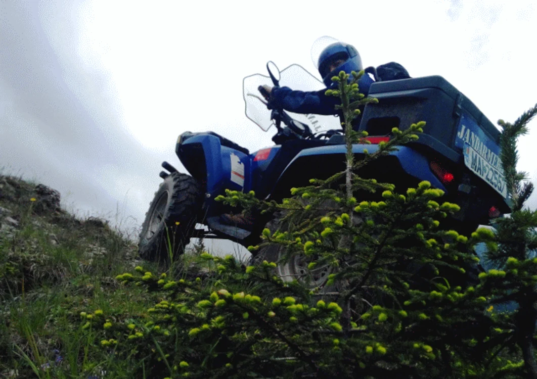 Accident cu ATV-ul în pădure FOTO: Arhivă, Adevărul